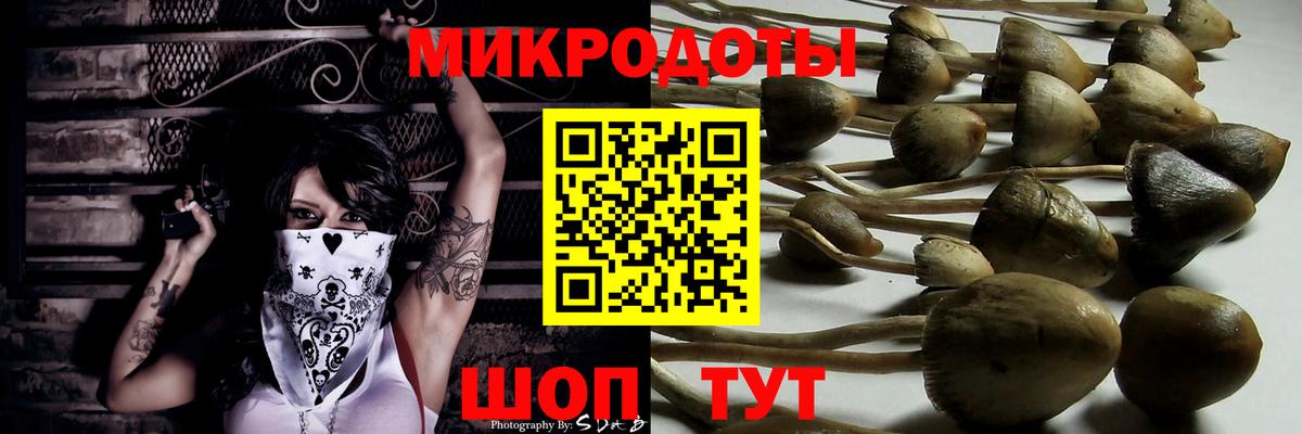 Галлюциногенные грибы Magic Shrooms Сосновоборск